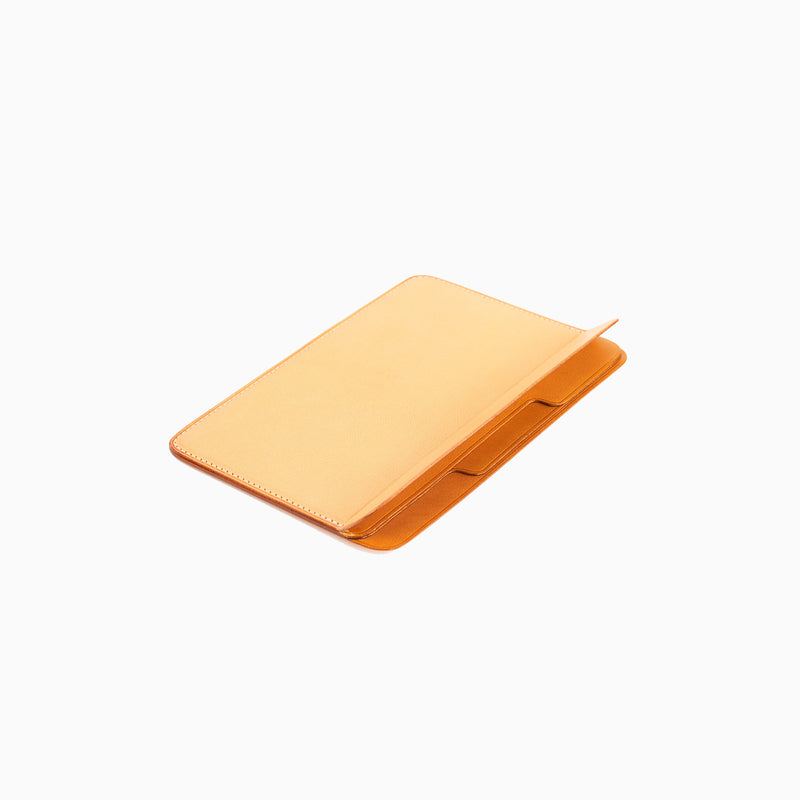 N°123 CLASSIFY PASSPORT HOLDER