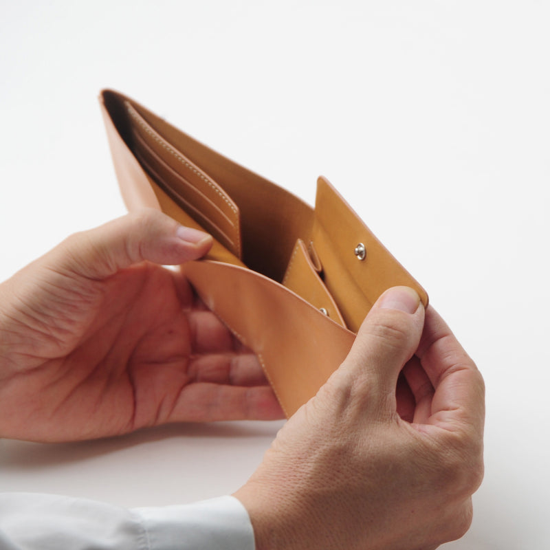 N°469 INSIDE WALLET WITH COINS